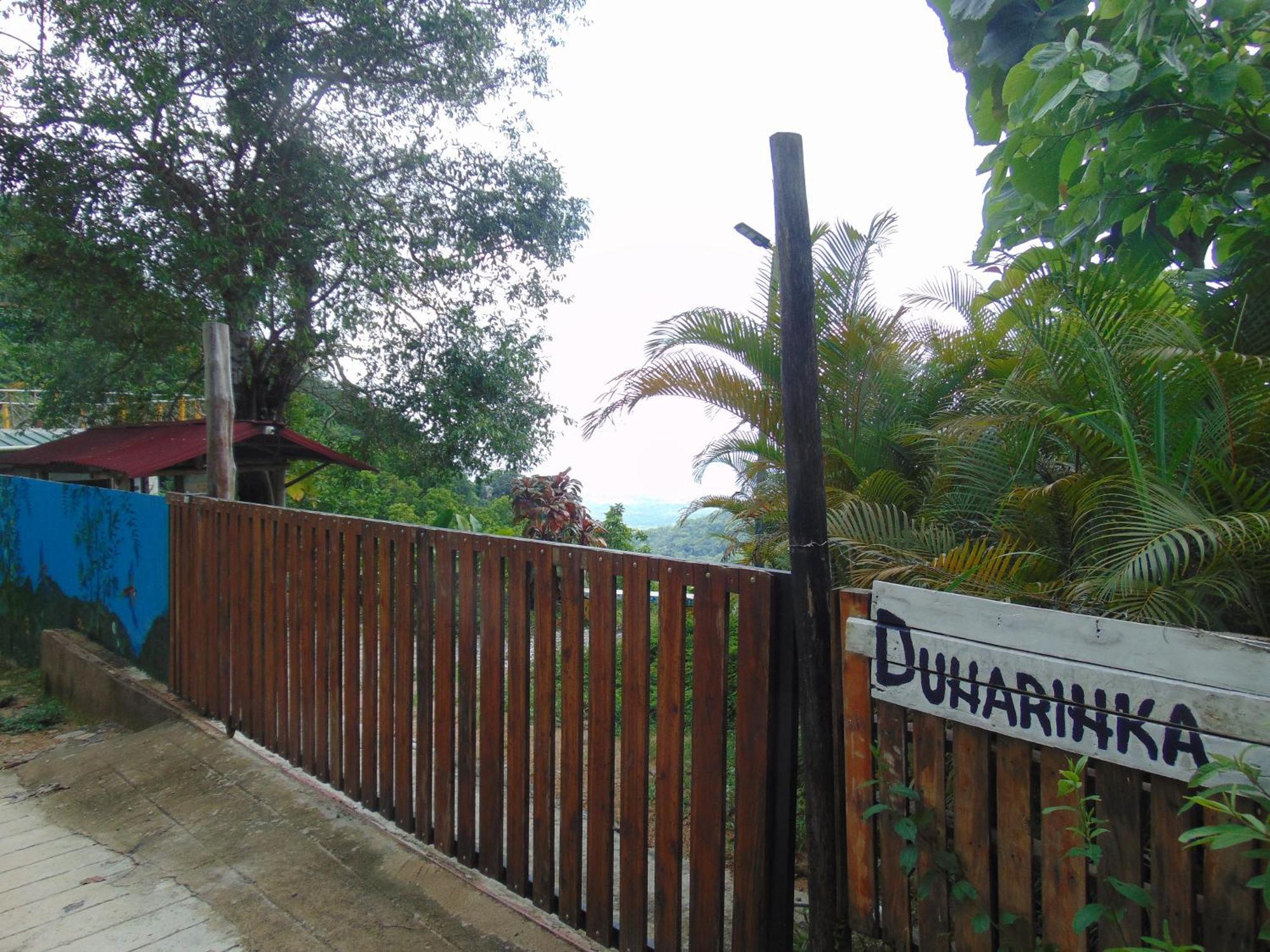 Dunarinka Minca Exterior photo