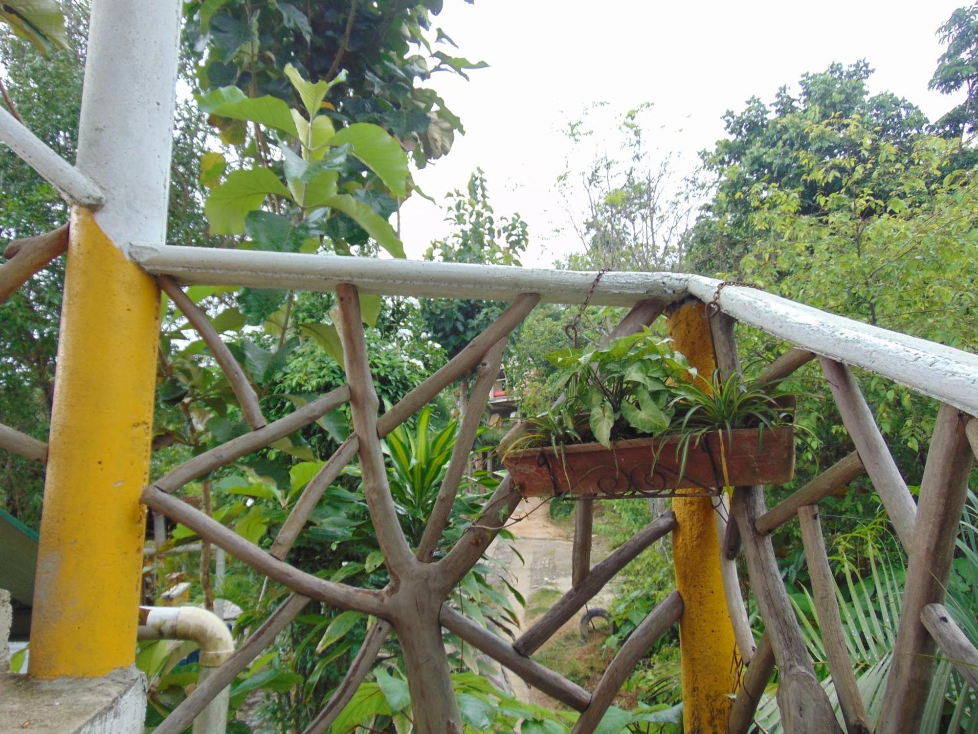 Dunarinka Minca Exterior photo
